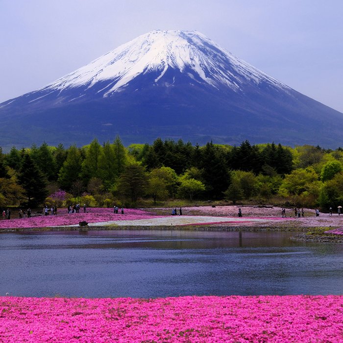 Mt. Fuji. Flkr Photo @akirafoto.jpg